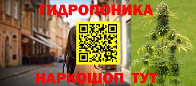 ПСИЛОЦИБИНОВЫЕ ГРИБЫ Нальчик