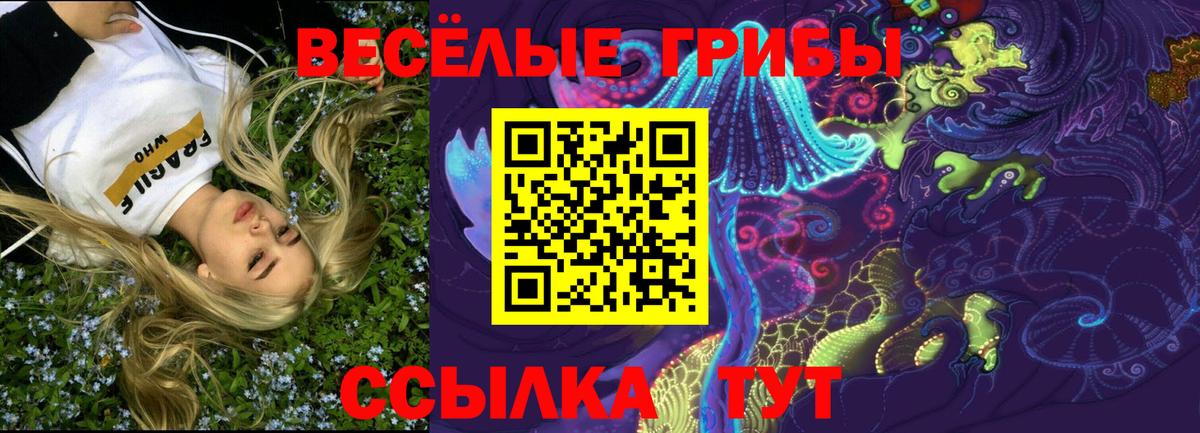 Галлюциногенные грибы прущие грибы Салехард