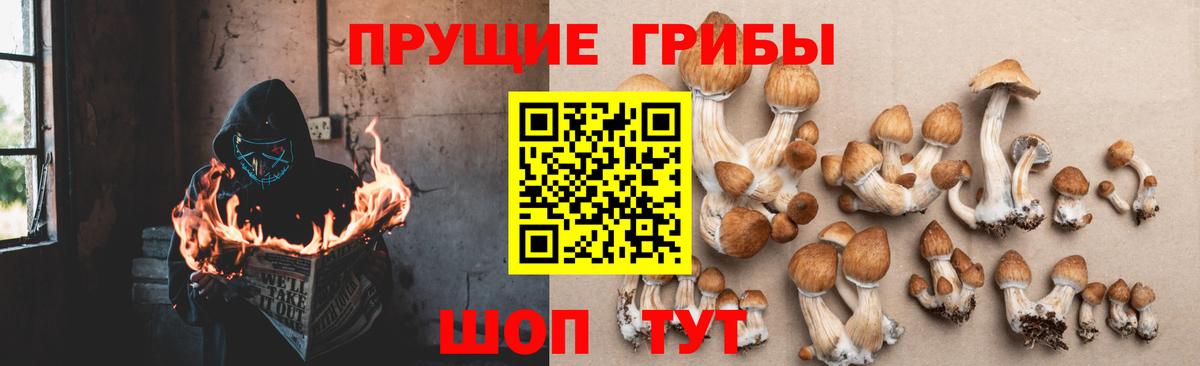 Псилоцибиновые грибы ЛСД  Вход с VPN  Салехард 